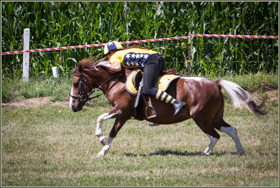 Mounted Games 147